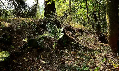 Funkenštejn