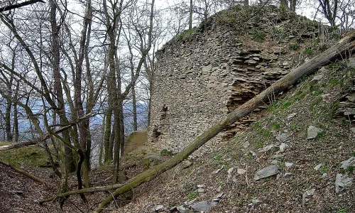 Litýš