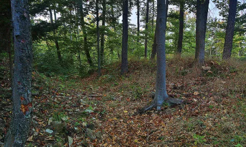 Plankenberk