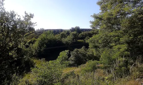 Pustiměř