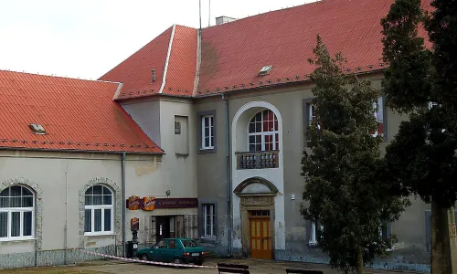 Sazená