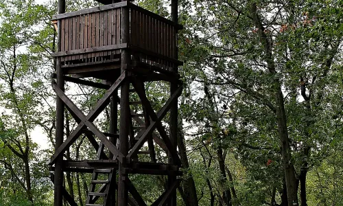Výšinné neopevněné sídliště Landek