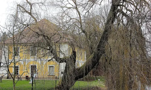 Štětkovice
