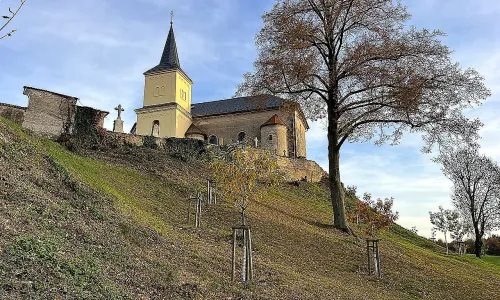 Kostel svatého Kříže (Ronov nad Doubravou)