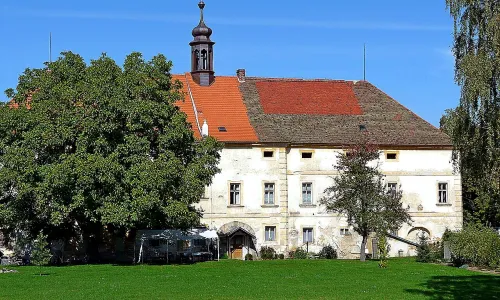 Kostel svatého Prokopa (Štěnovice)