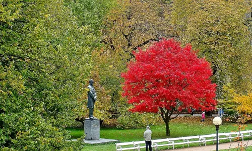 Dvořákovy sady (Karlovy Vary)