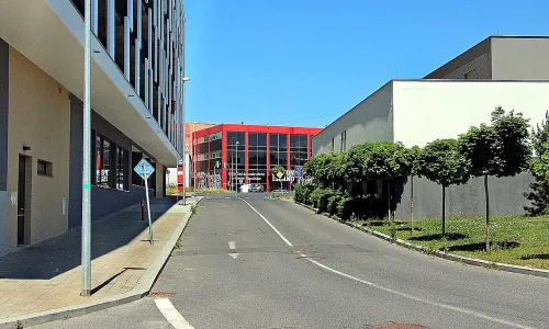 Lehovecká