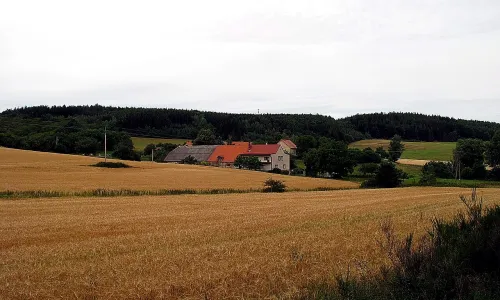 Osojno