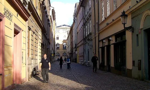 V kotcích