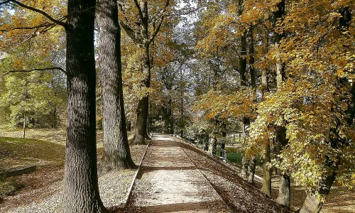 Šimkovy sady