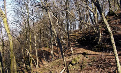 Krajíčkova stráň