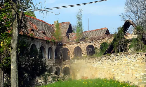Boreč