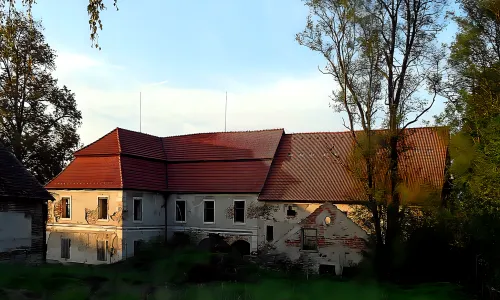 Kounice