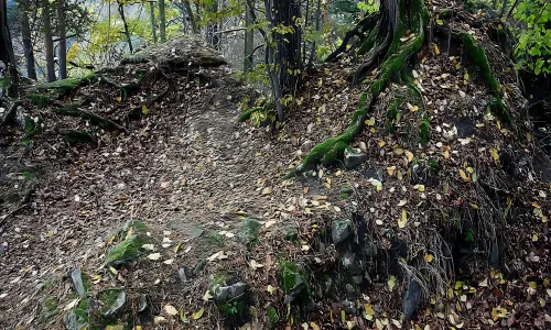 Košíkov