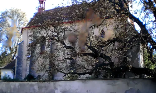 kostel svatého Václava (Jezbořice)