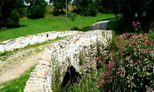 most u Lutriána