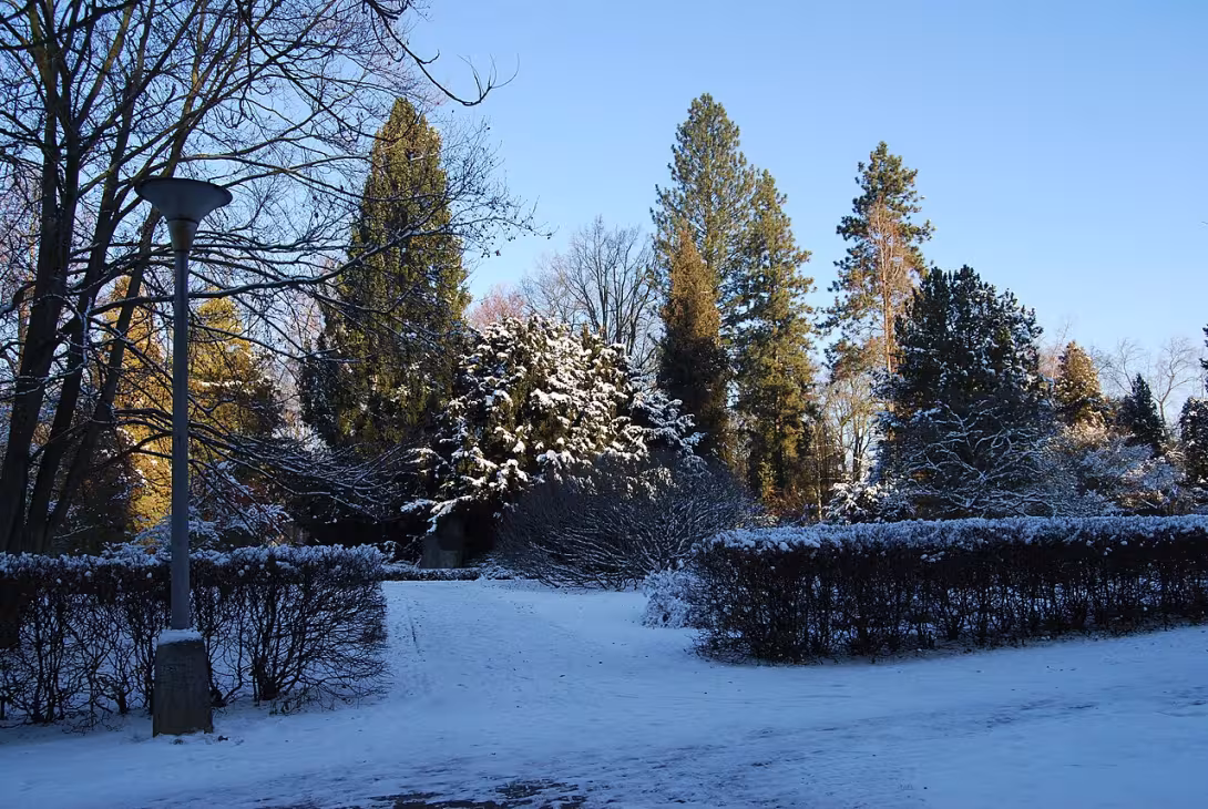 Dnešní pohled – Arboretum (Václavské Předměstí)