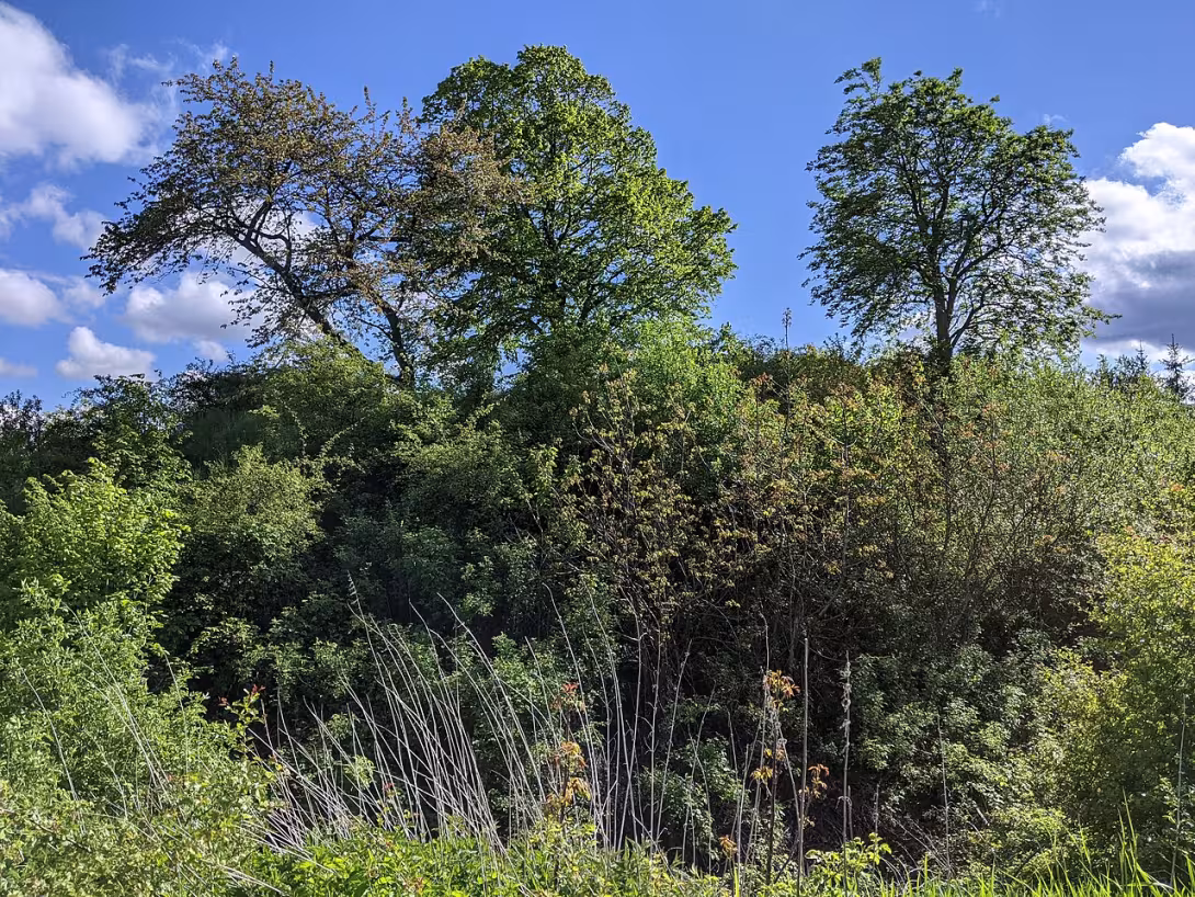 Dnešní pohled – Drahlín