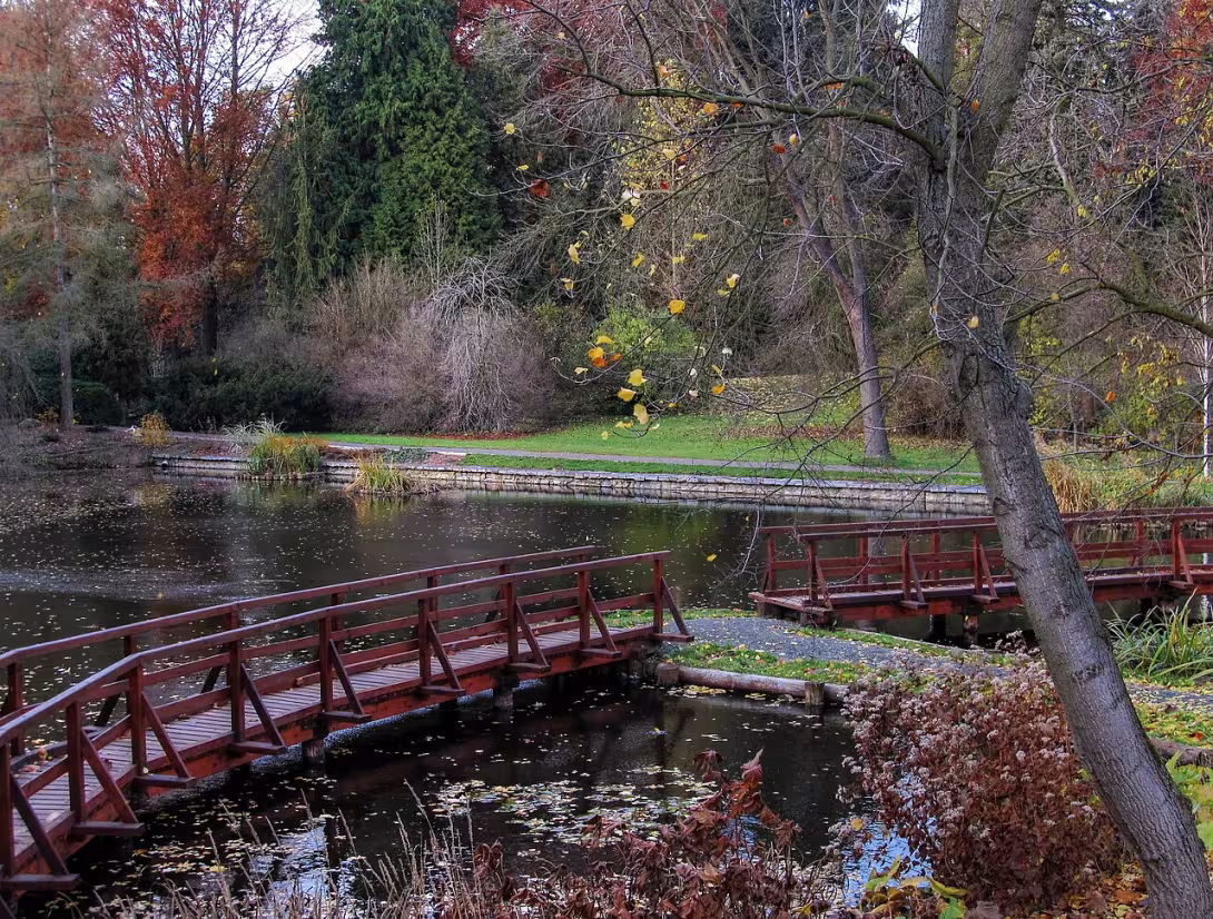 Dnešní pohled – Arboretum Bílá Lhota