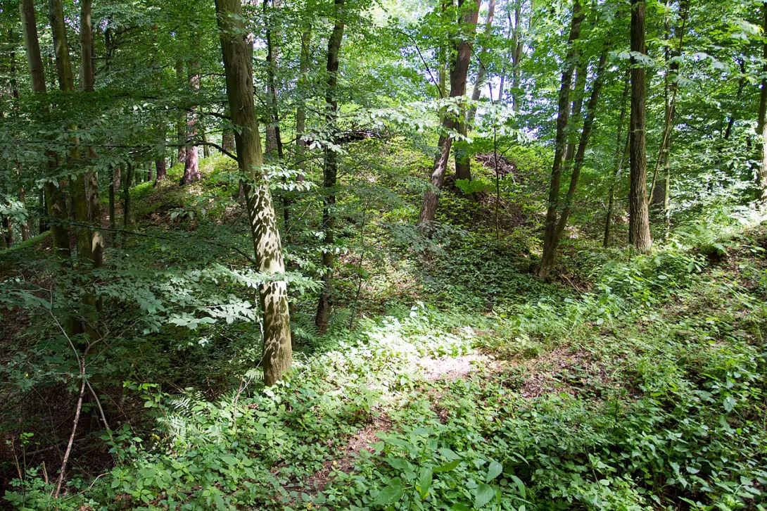 Dnešní pohled – Čejchanov
