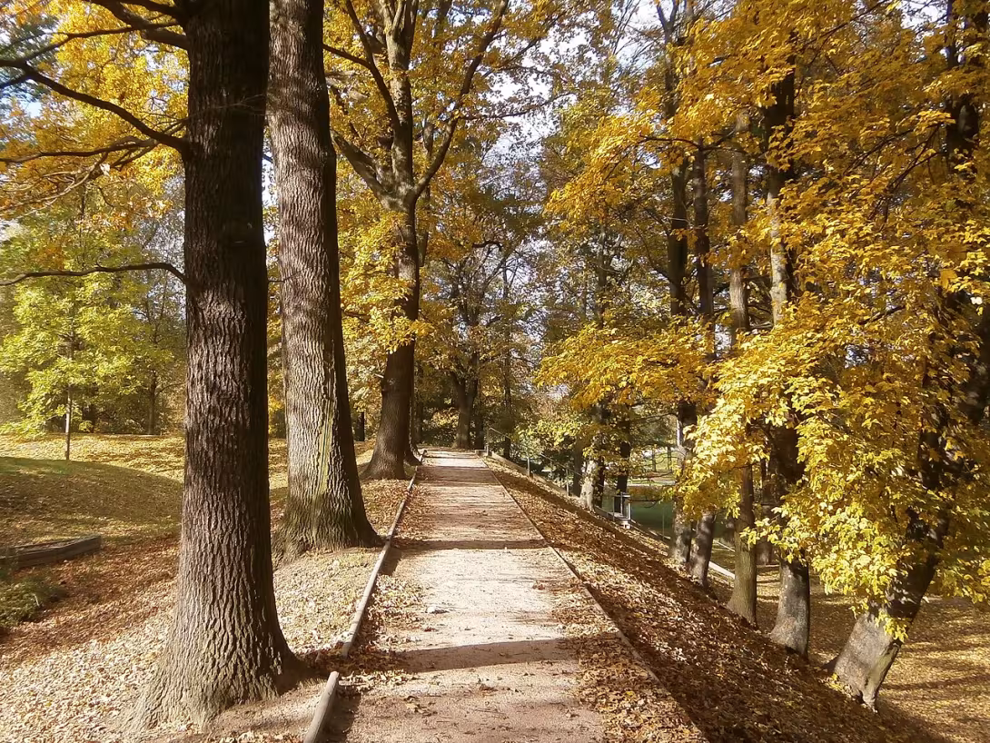 Dnešní pohled – Šimkovy sady