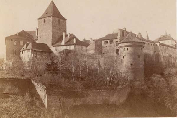 
<span>Daliborka</span>
